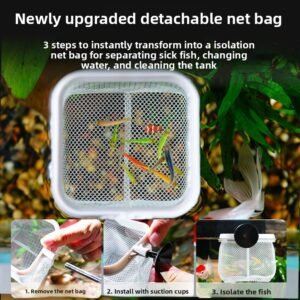 Extendable Handheld Fishing Net for Small Fish - Image 3