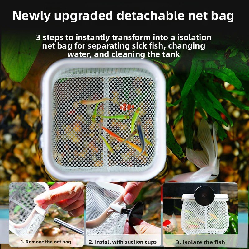 Extendable Handheld Fishing Net for Small Fish